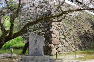 宇和島城の登城記録(こにーさん)