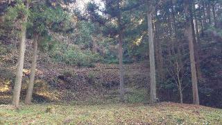 河後森城の登城記録(オカドンさん)