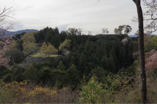 河後森城の登城記録(こにーさん)