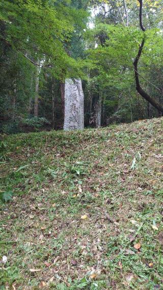 河後森城の登城記録(でかじろうさん)