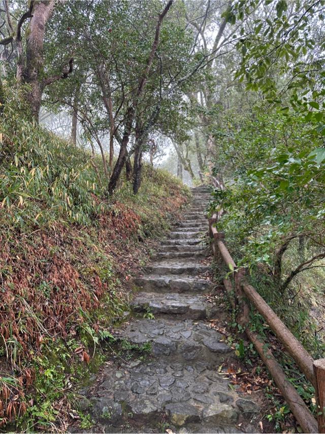 高知県南国市岡豊町１０９９−１ 岡豊城の写真4