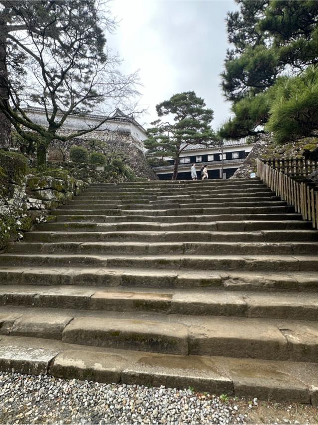 高知県高知市丸ノ内１丁目２−１ 高知城の写真3