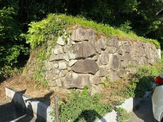 浦戸城の登城記録(フッキーさん)