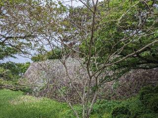 久留米城の登城記録(釈迦力さん)