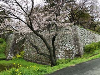 久留米城の登城記録(名古屋 山三郎さん)