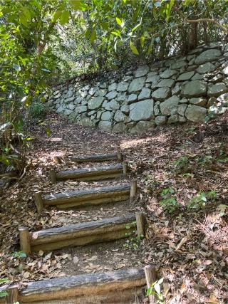 立花山城(立花城)の登城記録(キャッスルさん)