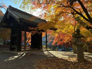 秋月城の登城記録(キャッスルさん)