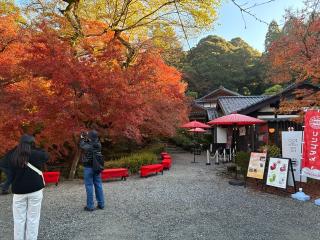 秋月城の登城記録(キャッスルさん)