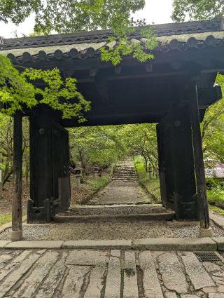 秋月城の登城記録(泰成さん)