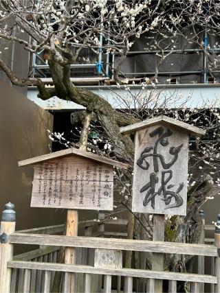 大宰府の登城記録(ヒロヨンさん)