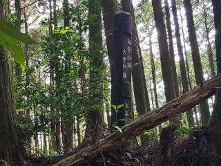 有智山城の登城記録(風祭すぅさん)