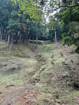 大野城の登城記録(ヒロヨンさん)