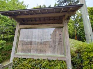 柳川城の登城記録(タケローさん)