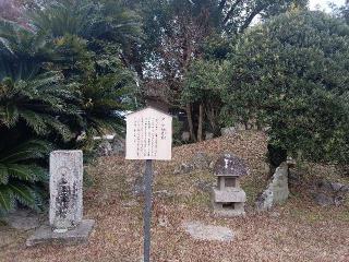 蓮池城の登城記録(龍造寺さん)