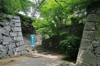 唐津城の登城記録(こにーさん)