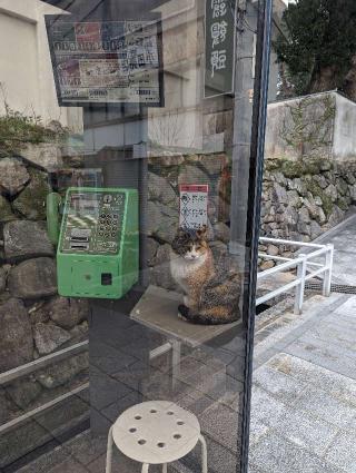 唐津城の登城記録(釈迦力さん)