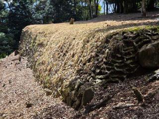 基肄城の登城記録(jinさん)
