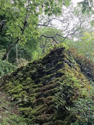 唐船城の登城記録(龍造寺さん)