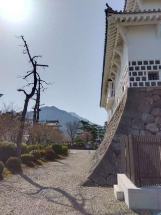 島原城の登城記録(ゴン太さん)