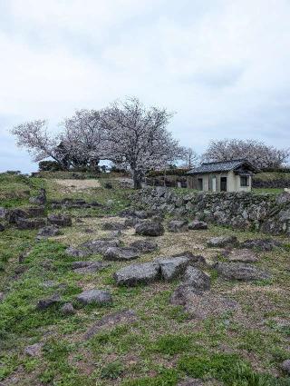 原城の登城記録(泰成さん)