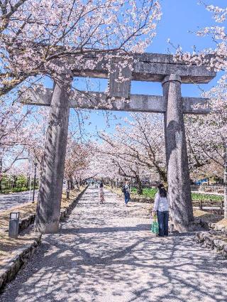 玖島城の登城記録(泰成さん)