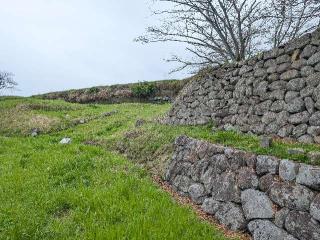 日野江城の登城記録(泰成さん)