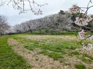 日野江城の登城記録(泰成さん)