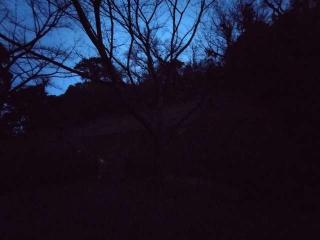 日野江城の登城記録(タケローさん)