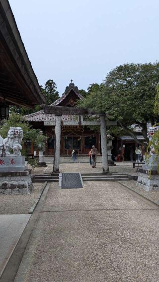 鶴ヶ岡城の登城記録(ニャン川さん)