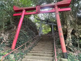 神代城（鶴亀城）の登城記録(テッチンさん)