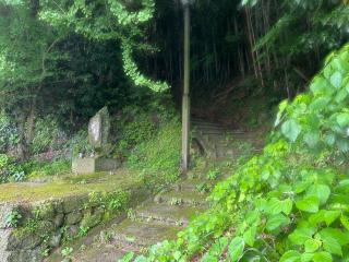 山田城の登城記録(テッチンさん)