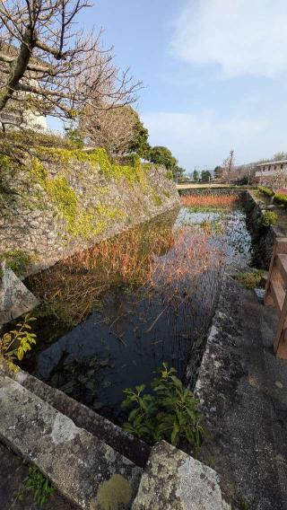 石田城の登城記録(ニャン川さん)