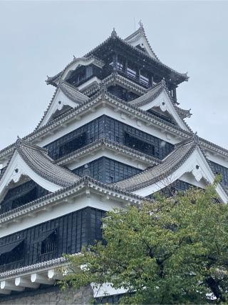 熊本城の登城記録(マサルさん)