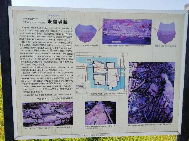 熊本県八代市古城町２１１２ 麦島城の写真3
