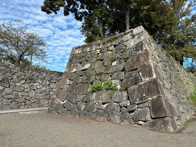 熊本県八代市松江城町7-34 八代城の写真2