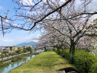 八代城の登城記録(名古屋 山三郎さん)