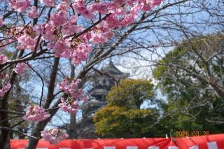 中津城の登城記録(はたしんさん)