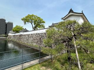 府内城（大分城）の登城記録(テッチンさん)