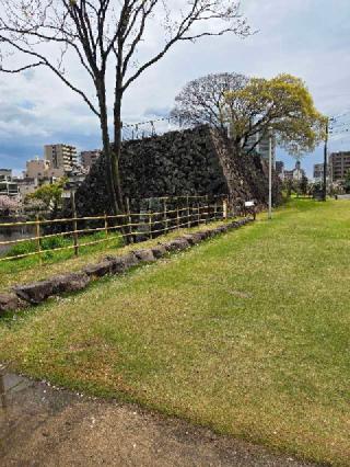 府内城（大分城）の登城記録(jinさん)