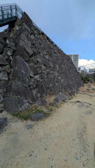 府内城（大分城）の登城記録(ニャン川さん)