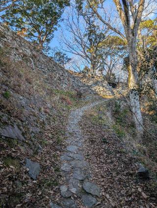 佐伯城の登城記録(泰成さん)