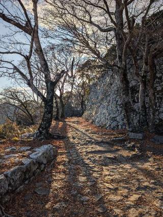 佐伯城の登城記録(泰成さん)