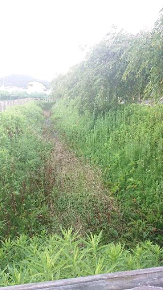 長谷堂城の登城記録(マリリさん)