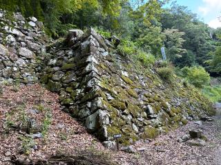 角牟礼城の登城記録(キャッスルさん)