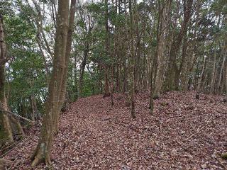 角牟礼城の登城記録(yossyさん)