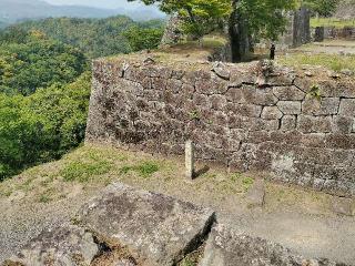 岡城の登城記録(あっきーさん)