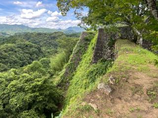 岡城の登城記録(キャッスルさん)