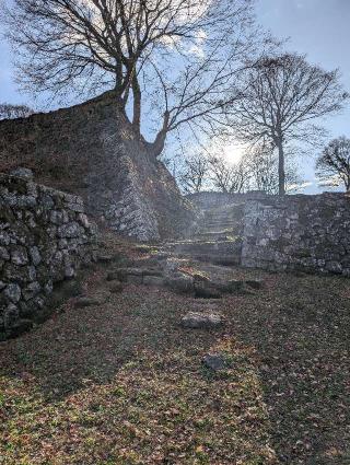 岡城の登城記録(泰成さん)