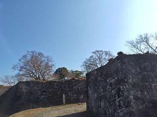 岡城の登城記録(yossyさん)