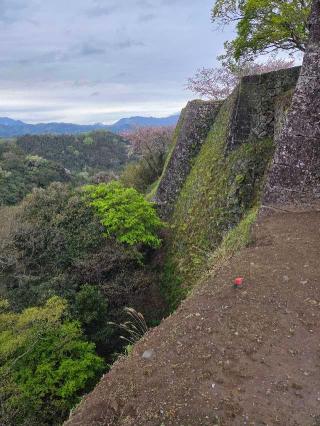 岡城の登城記録(jinさん)